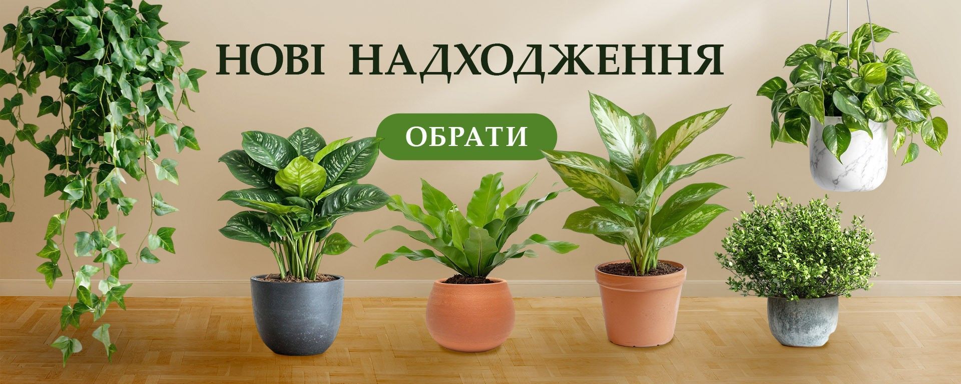Друга лінія